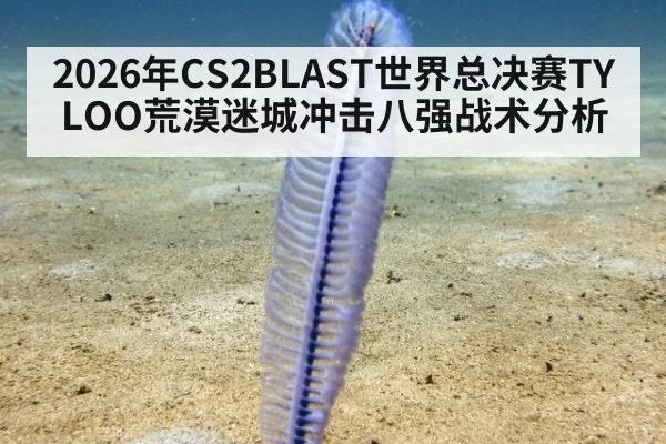 2026年CS2BLAST世界总决赛TYLOO荒漠迷城冲击八强战术分析