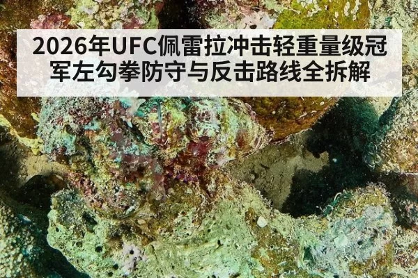 2026年UFC佩雷拉冲击轻重量级冠军左勾拳防守与反击路线全拆解